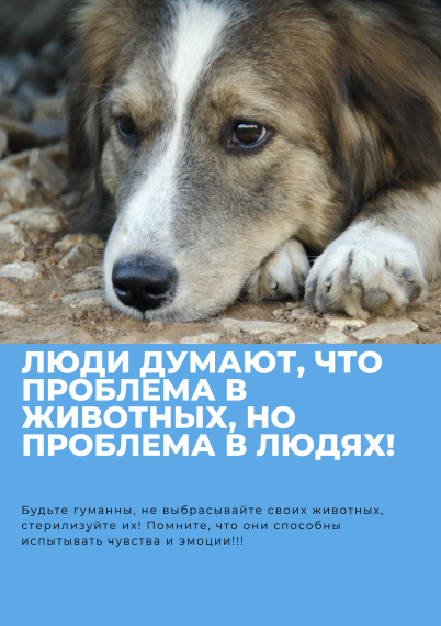 Напоминаем о действующем законодательстве о гуманном обращении в отношении животных без владельцев. Напоминаем о действующем законодательстве о гуманном обращении в отношении животных без владельцев.