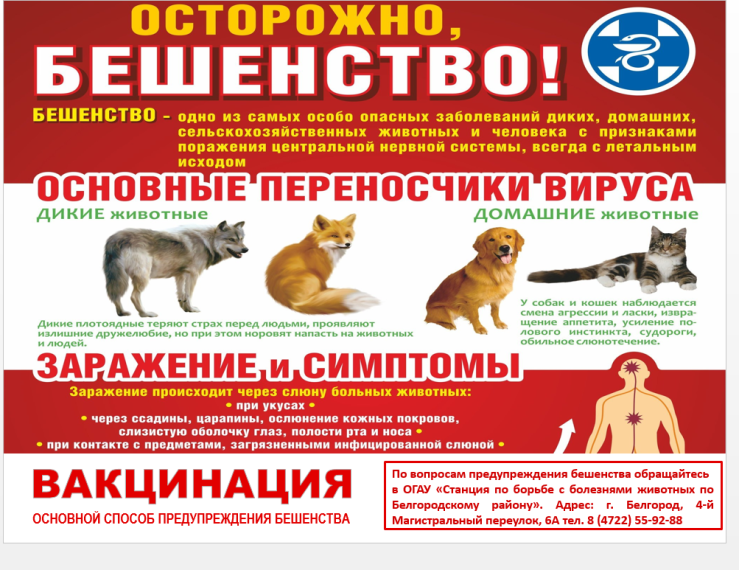 ОСТОРОЖНО, БЕШЕНСТВО!!!. ОСТОРОЖНО, БЕШЕНСТВО!!!.
